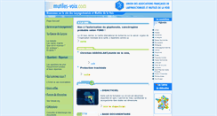 Desktop Screenshot of mutiles-voix.com